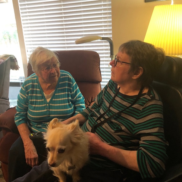 My Story and Why Im Poshing - Picture 1 of 1